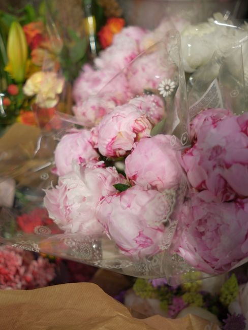 A close-up of a bouquet of fresh, light pink peonies with ruffled petals, wrapped in clear cellophane with white decorative patterns. The peonies are arranged in a compact cluster with green stems vis
